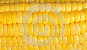 Yellow corn