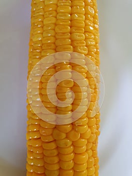Yellow corn cooked in boiled water