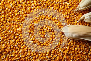 Yellow corn frame with seeds backdrop, providing ample copy space