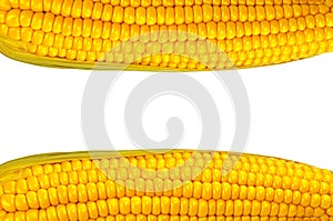 Yellow corn grain isolated on white background