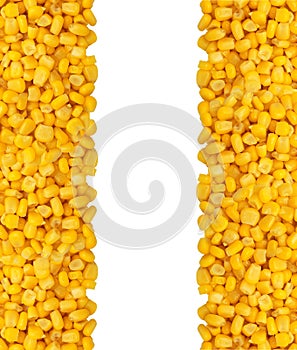 Yellow corn grain isolated on white background