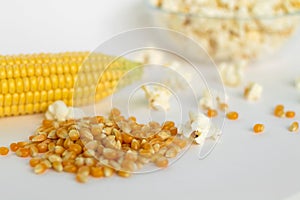 Yellow corn with grain isolated on white background