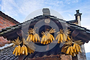 Yellow corn, In Huangling, this scene of drying crops is called sunny autumn.