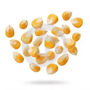Yellow corn kernels elegantly falling on a white background
