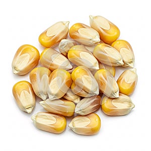 Yellow corn kernels falling on a white background