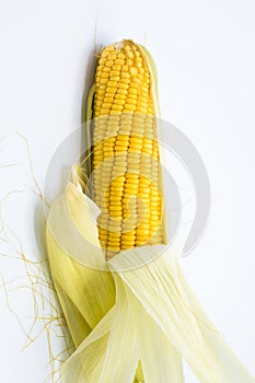 Yellow corn raw isolated on white background