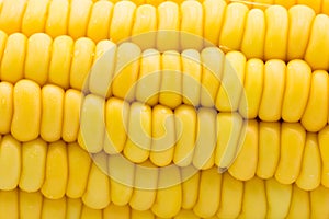 Yellow corn raw isolated on white background