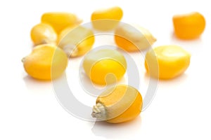 Yellow corn seed for popcorn isolated on white. Sweet agriculture kernel grain background. Used in cooking as vegetable