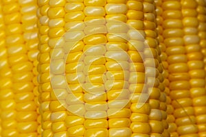 Yellow Corn skin pretty