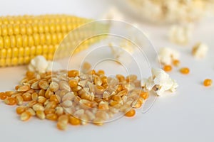 Yellow corn with grain isolated on white background