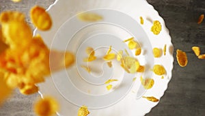 Yellow cornflakes are falling from above into a white plate standing on wooden surface in slowmo