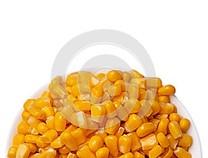 Yellow corns over white background