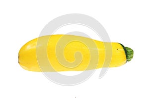 Yellow Courgette