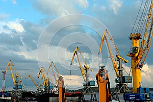 yellow cranes in the cargo river port. coal for loading into the freight train. Port in Vyborg on the Gulf of Finland