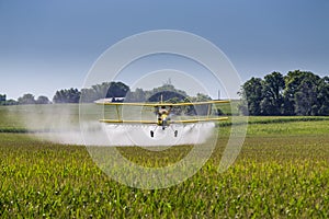 Yellow Crop Duster