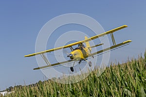 Yellow Crop Duster