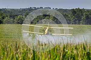 Yellow Crop Duster