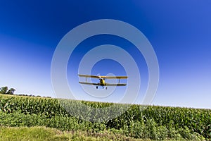 Yellow Crop Duster