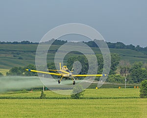 Yellow crop duster flying low while spraying a field