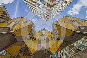 Yellow cubic houses in Rotterdam