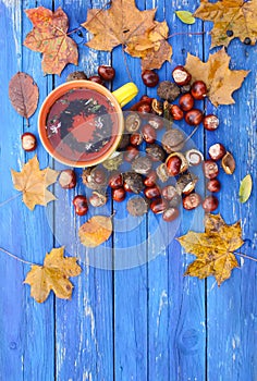 Yellow cup of herbal tea on aged wooden background with fall autumn leaves and chestnuts.