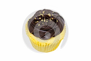 Yellow Cupcake with Chocolate Frosting