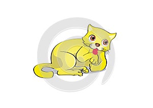 A yellow cute cat licking her furr