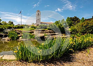 Yellow daffodils in city park with train depot Boise