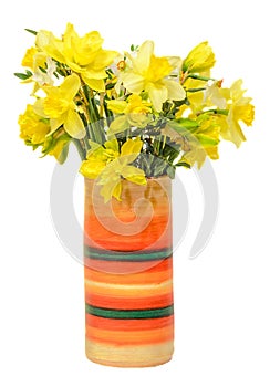 Yellow daffodils (narcissus) flowers in a vibrant colored vase, close up, white background, isolated