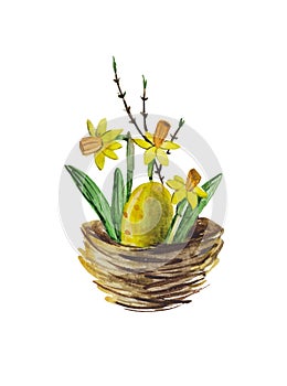 Yellow daffodils in the nest