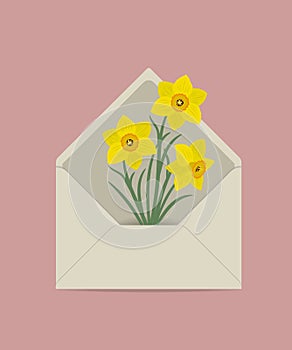 Yellow daffodils in the postal envelope. Spring flowers
