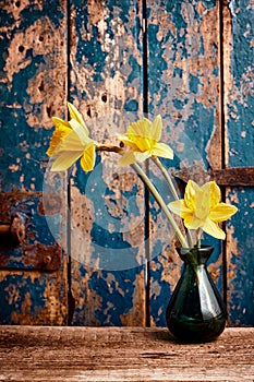 Yellow Daffodils in Vase in front of Wooden Door