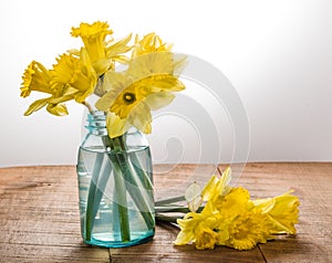 Yellow dafodills in blue jar