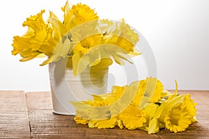 Yellow dafodills in white bucket