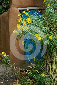 Sedmikrásky podle modrý zahrada dveře 