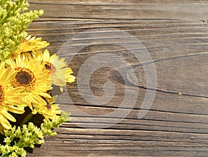 Yellow Daisies Wood Background