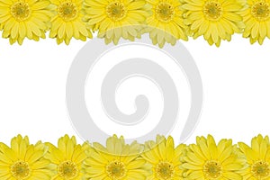 Yellow daisy frame