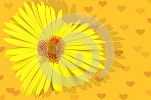 Yellow daisy-heart