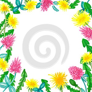 Yellow dandelion and clover flowers, hand drawn - floral frame on white background