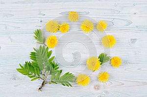 Yellow dandelion flowers and green leaves on light blue wooden board. Copy space, top view.