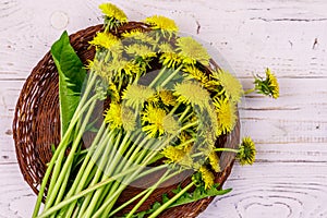 Yellow dandelion flowers in wicker basket on white wooden background. Top view