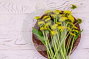 Yellow dandelion flowers in wicker basket on white wooden background. Top view