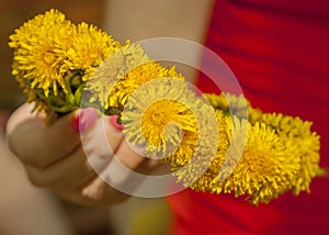 Yellow dandelion handmade wreath