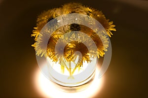 Yellow dandelions in a glass