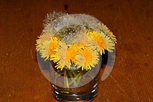 Yellow dandelions in a glass