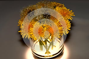 Yellow dandelions in a glass