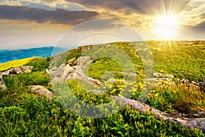 yellow dandelions in the grass among the huge rocks on hillside in high mountains at sunset