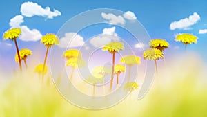 Yellow dandelions in a green grass against the background of the blue sky with clouds. Natural summer spring background.