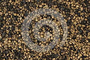 Yellow and dark coffee beans dried processing for texture background