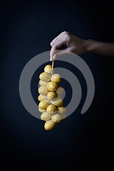 A bunch of fresh yellow dates hanging